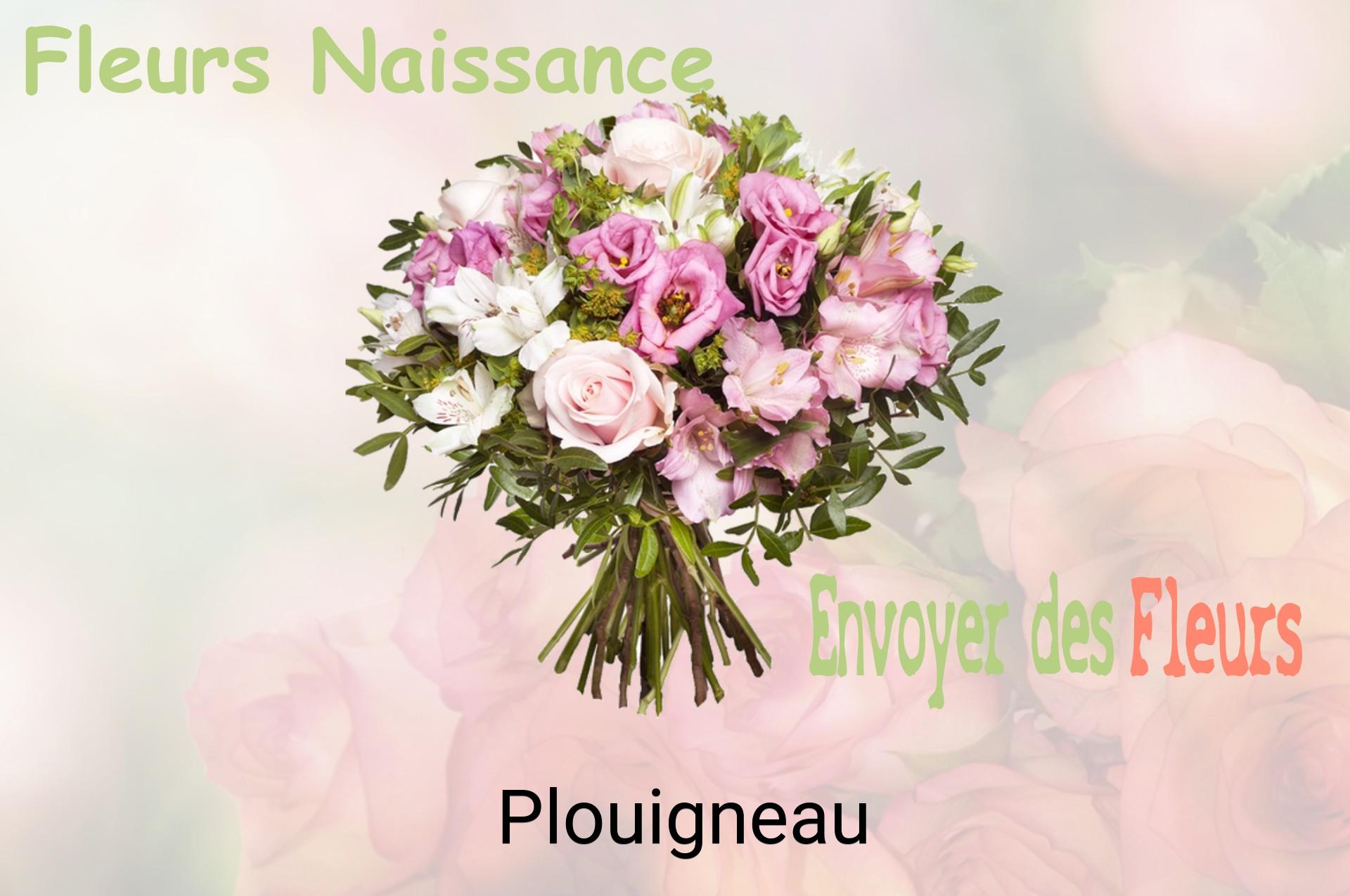 Bouquet de fleurs de naissance livré à Plouigneau